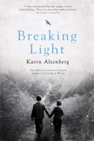 Книга Breaking Light Karin Altenberg