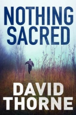 Book Nothing Sacred David Thorne