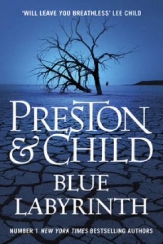 Книга Blue Labyrinth Preston and Child