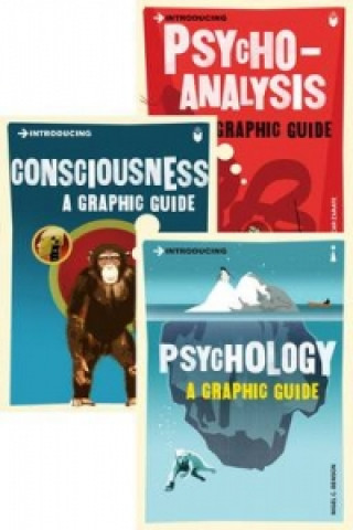 Könyv Introducing Graphic Guide box set - Know Thyself David Papineau
