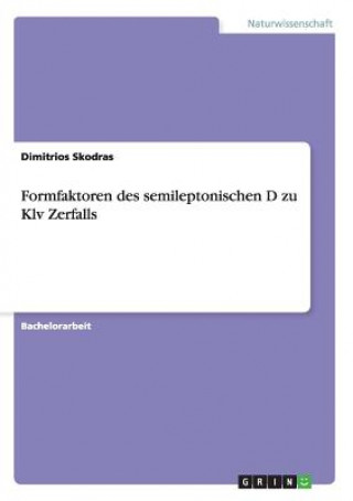 Könyv Formfaktoren des semileptonischen D zu Klv Zerfalls Dimitrios Skodras