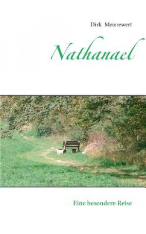 Buch Nathanael Dirk Meierewert