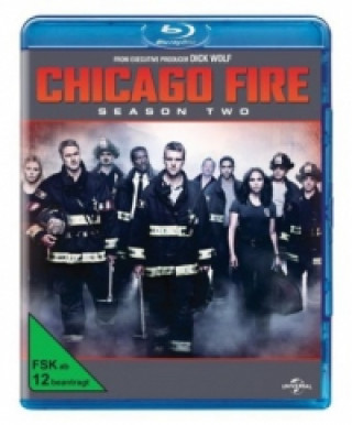 Videoclip Chicago Fire. Staffel.2, 5 Blu-rays Micky Blythe