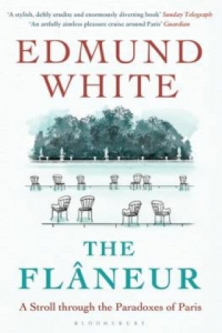 Kniha Flaneur Edmund White