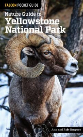 Carte Nature Guide to Yellowstone National Park Ann Simpson