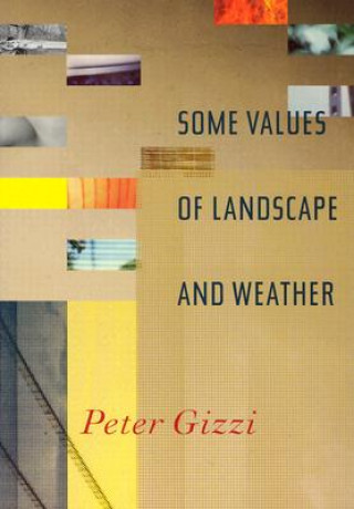 Kniha Some Values of Landscape and Weather Peter Gizzi