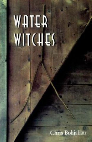 Book Water Witches Chris Bohjalian