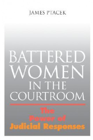 Kniha Battered Women in the Courtroom James Ptacek