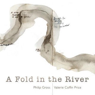 Kniha Fold in the River Philip Gross