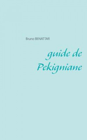 Kniha guide de Pekigniane Bruno Benattar