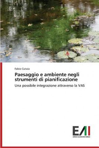 Libro Paesaggio e ambiente negli strumenti di pianificazione Fabio Cutaia