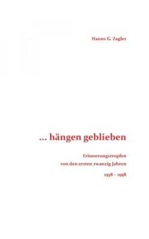 Buch ... hangen geblieben Hanns G. Zagler