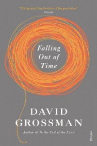 Книга Falling Out of Time David Grossman