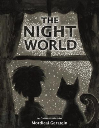 Kniha The Night World Mordicai Gerstein