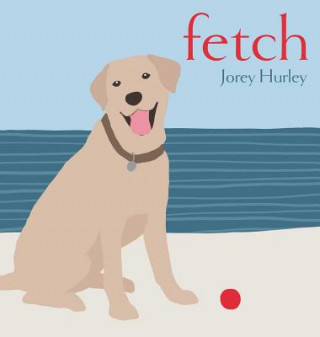 Knjiga Fetch Jorey Hurley