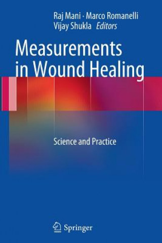 Книга Measurements in Wound Healing Raj Mani