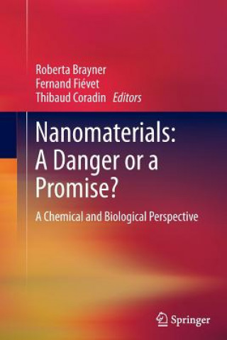 Kniha Nanomaterials: A Danger or a Promise? Roberta Brayner