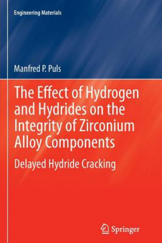 Könyv Effect of Hydrogen and Hydrides on the Integrity of Zirconium Alloy Components Manfred P. Puls