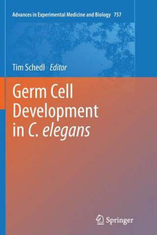 Kniha Germ Cell Development in C. elegans Tim Schedl