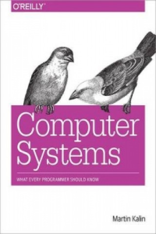 Kniha Computer Systems Martin Kalin