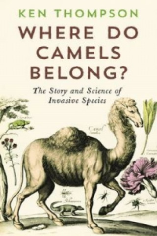 Könyv Where Do Camels Belong? Ken Thompson