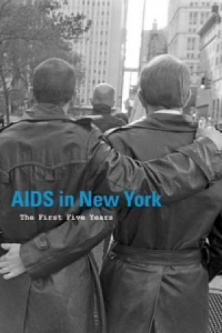 Könyv AIDS in New York: The First Five Years Jean Ashton