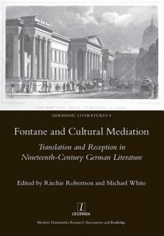 Kniha Fontane and Cultural Mediation Ritchie Robertson