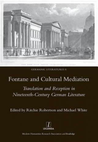 Knjiga Fontane and Cultural Mediation Ritchie Robertson