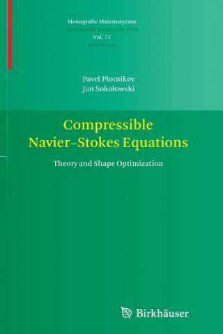 Kniha Compressible Navier-Stokes Equations Pavel Plotnikov