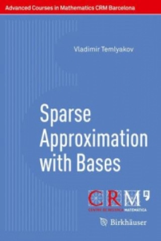 Knjiga Sparse Approximation with Bases Vladimir Temlyakov