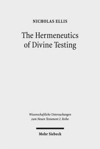 Book Hermeneutics of Divine Testing Nicholas Ellis