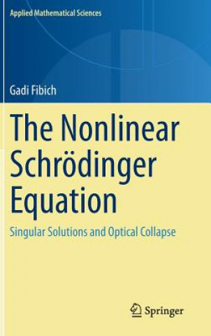 Carte Nonlinear Schroedinger Equation Gadi Fibich