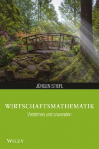 Kniha Wirtschaftsmathematik anwenden und verstehen Jürgen Stiefl