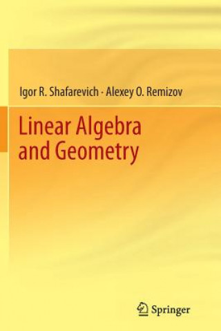 Buch Linear Algebra and Geometry Igor R. Shafarevich