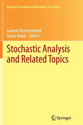 Könyv Stochastic Analysis and Related Topics Laurent Decreusefond