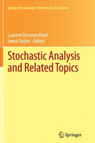 Kniha Stochastic Analysis and Related Topics Laurent Decreusefond