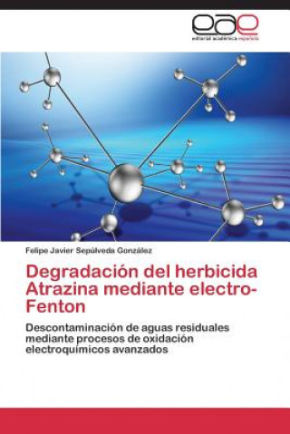 Knjiga Degradacion del herbicida Atrazina mediante electro-Fenton Sepulveda Gonzalez Felipe Javier