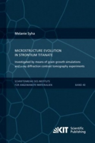 Könyv Microstructure evolution in strontium titanate Investigated by means of grain growth simulations and x-ray diffraction contrast tomography experiments Melanie Syha