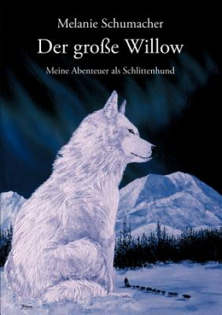 Knjiga grosse Willow Melanie Schumacher