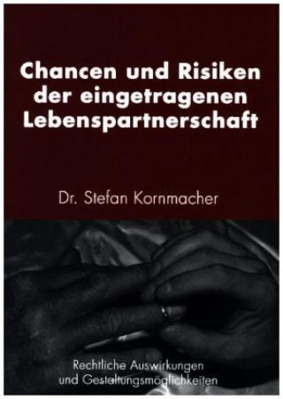 Kniha Chancen und Risiken der eingetragenen Lebenspartnerschaft Stefan Kornmacher