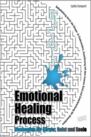 Könyv Emotional Healing Process Lydia Zangerl
