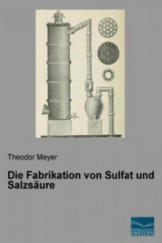 Kniha Die Fabrikation von Sulfat und Salzsäure Theodor Meyer