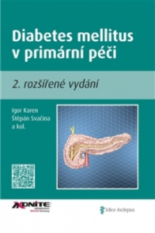 Book Diabetes mellitus v primární péči II. Igor Karen