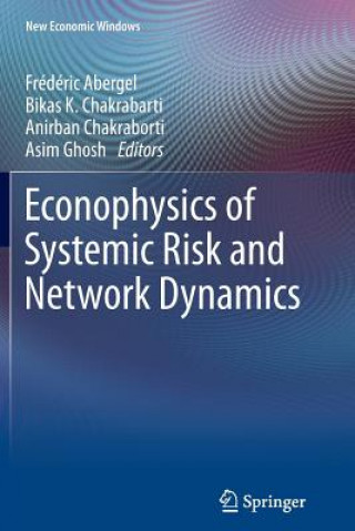 Kniha Econophysics of Systemic Risk and Network Dynamics Frédéric Abergel