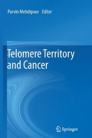 Könyv Telomere Territory and Cancer Parvin Mehdipour