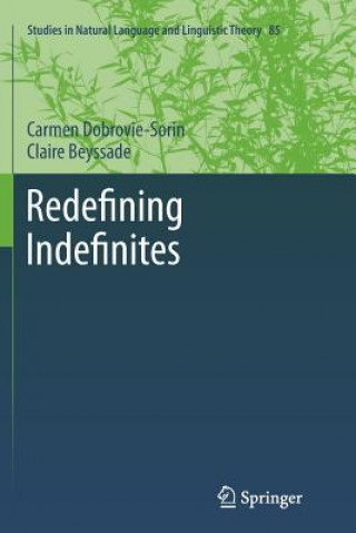 Kniha Redefining Indefinites Carmen Dobrovie-Sorin