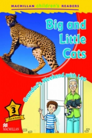 Книга Macmillan Children's Readers Big and Little Cats Level 3 DEGNAN VENESS C