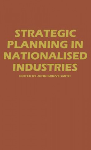 Kniha Strategic Planning of the National Industry 