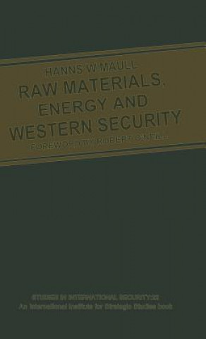 Buch Raw Materials, Energy and Western Security Hanns W. Maull