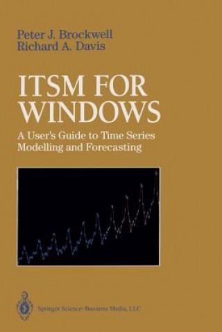 Książka Itsm for Windows Richard A. Davis